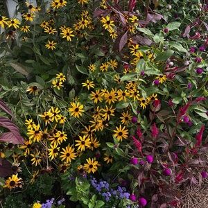 Meet your Posher, Alison